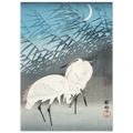 1bf299c9-6a3d-4bd7-b50a-d067ab89063a