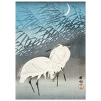 1bf299c9-6a3d-4bd7-b50a-d067ab89063a