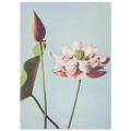 3fbc8e78-5014-4255-ae17-7bd3ec4024a2