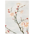 87f0aeae-3186-4f2b-8bfa-c4e53bbe7050