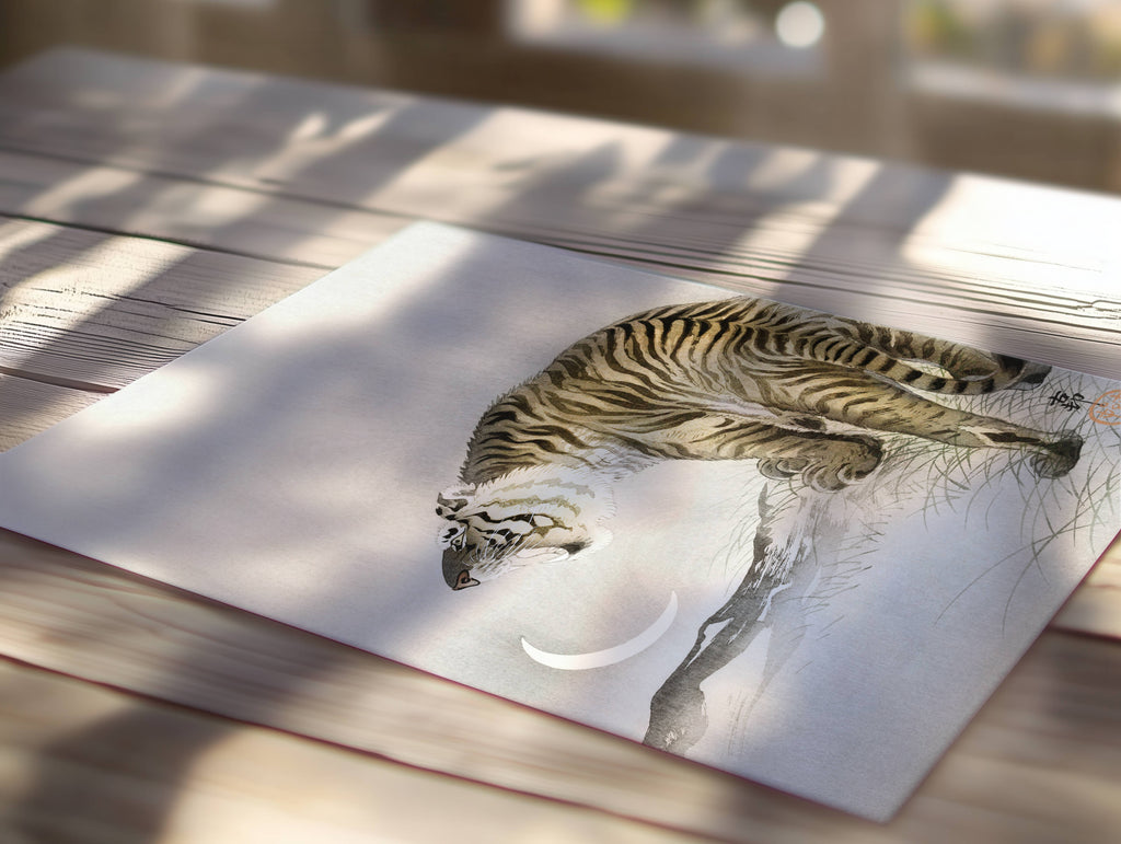 Tigre rugissant
