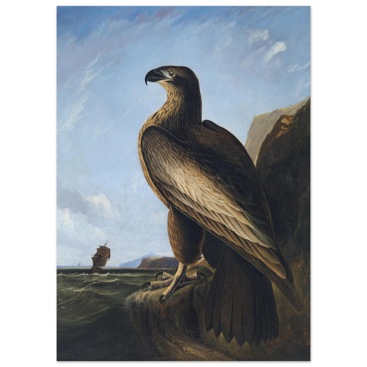 L'Aigle de Washington de John James Audubon — jeune pygargue dressé sur un rocher, mer et voilier à l'arrière-plan, affiche d'art INKONAL