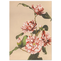 bc0686ee-4423-4cfb-8de5-3ace285b8414