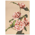 bc0686ee-4423-4cfb-8de5-3ace285b8414