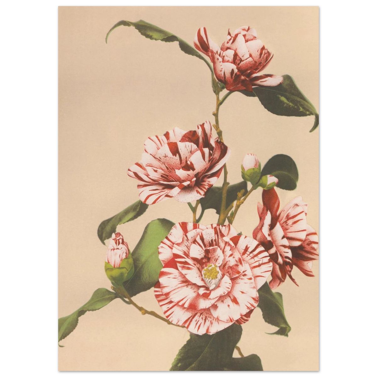 bc0686ee-4423-4cfb-8de5-3ace285b8414