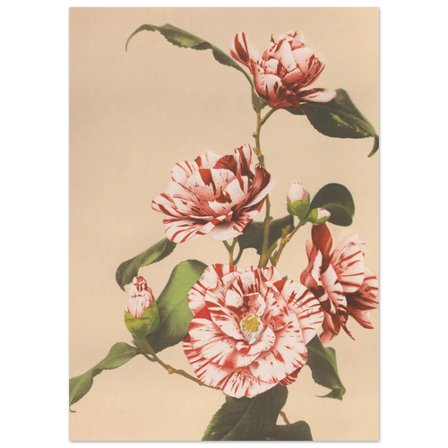 bc0686ee-4423-4cfb-8de5-3ace285b8414