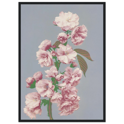 Tableau Cerisier en fleurs — Ogawa Kazumasa, tirage encadré cadre noir | INKONAL