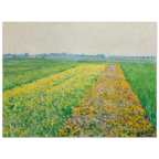 Tableau Les Champs jaunes à Gennevilliers — Gustave Caillebotte, tirage sans cadre | INKONAL