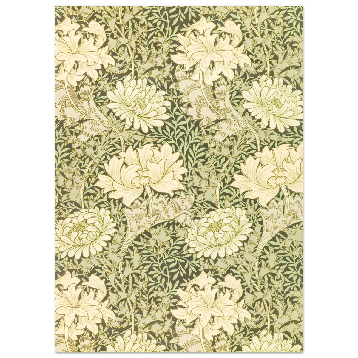 Motif Chrysanthème — William Morris, tirage sans cadre | INKONAL