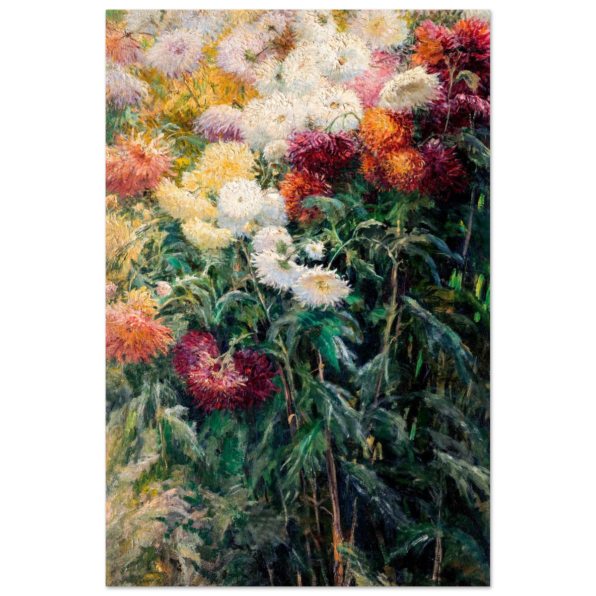 Tableau Chrysanthèmes — Gustave Caillebotte, tirage sans cadre | INKONAL