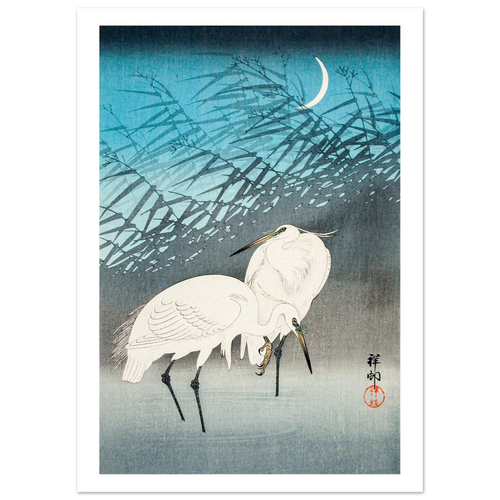Estampe japonaise Aigrettes et roseaux au clair de lune — Ohara Koson, tirage Sans cadre | INKONAL