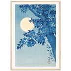 Estampe japonaise Cerisier bleu sous la lune — Ohara Koson, tirage encadré cadre bois | INKONAL