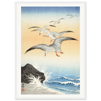 Estampe japonaise Cinq mouettes au-dessus des vagues — Ohara Koson, tirage encadré cadre blanc | INKONAL