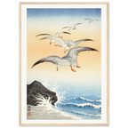 Estampe japonaise Cinq mouettes au-dessus des vagues — Ohara Koson, tirage encadré cadre bois | INKONAL