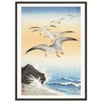 Estampe japonaise Cinq mouettes au-dessus des vagues — Ohara Koson, tirage encadré cadre noir | INKONAL
