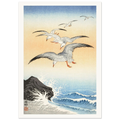 Estampe japonaise Cinq mouettes au-dessus des vagues — Ohara Koson, tirage sans cadre | INKONAL