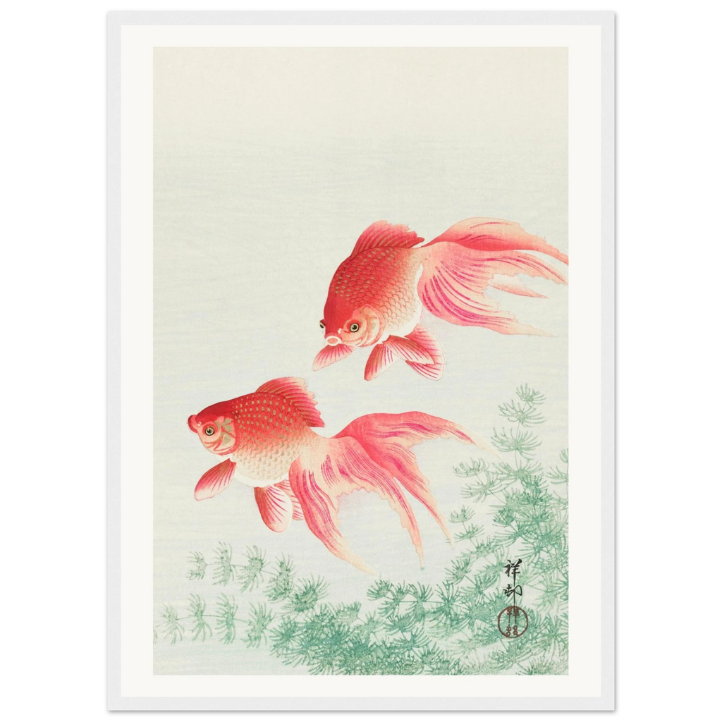 Estampe japonaise Deux poissons rouges — Ohara Koson, tirage encadré cadre blanc | INKONAL