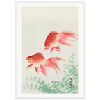 Estampe japonaise Deux poissons rouges — Ohara Koson, tirage encadré cadre blanc | INKONAL