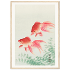 Estampe japonaise Deux poissons rouges — Ohara Koson, tirage encadré cadre bois | INKONAL