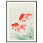 Estampe japonaise Deux poissons rouges — Ohara Koson, tirage encadré cadre noir | INKONAL