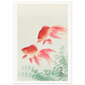 Estampe japonaise Deux poissons rouges — Ohara Koson, tirage sans cadre | INKONAL