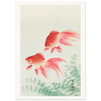 Estampe japonaise Deux poissons rouges — Ohara Koson, tirage sans cadre | INKONAL