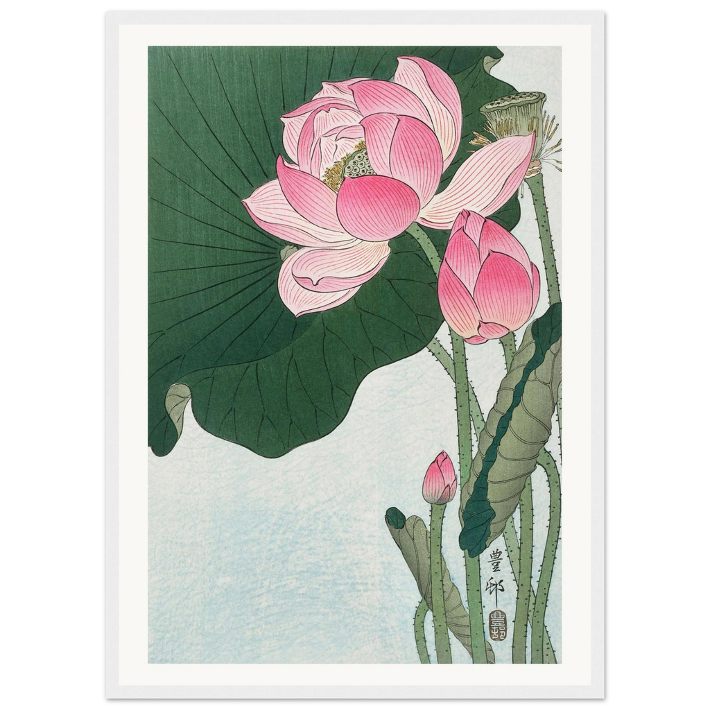 Estampe japonaise Fleurs de lotus — Ohara Koson, tirage encadré cadre blanc | INKONAL