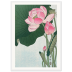 Estampe japonaise Fleurs de lotus — Ohara Koson, tirage encadré cadre blanc | INKONAL