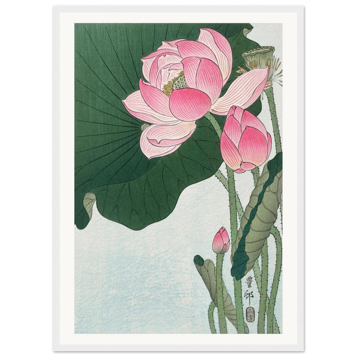 Estampe japonaise Fleurs de lotus — Ohara Koson, tirage encadré cadre blanc | INKONAL