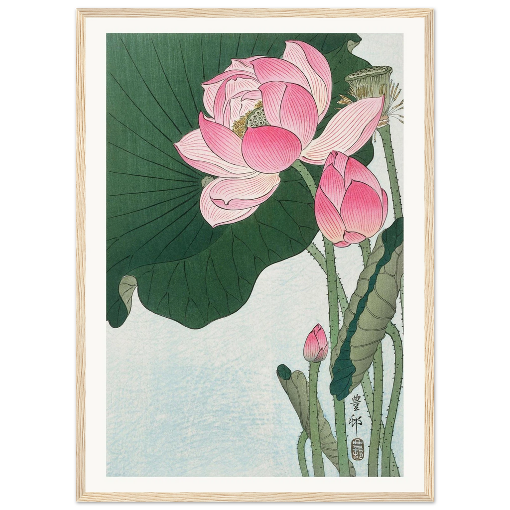 Estampe japonaise Fleurs de lotus — Ohara Koson, tirage encadré cadre bois | INKONAL