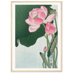 Estampe japonaise Fleurs de lotus — Ohara Koson, tirage encadré cadre bois | INKONAL