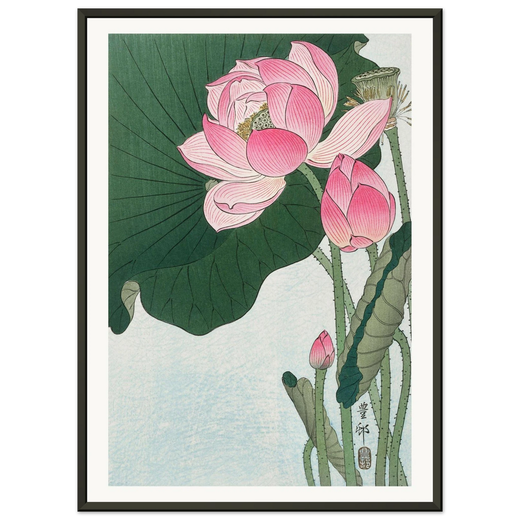 Estampe japonaise Fleurs de lotus — Ohara Koson, tirage encadré cadre noir | INKONAL