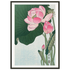 Estampe japonaise Fleurs de lotus — Ohara Koson, tirage encadré cadre noir | INKONAL