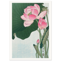 Estampe japonaise Fleurs de lotus — Ohara Koson, tirage sans cadre | INKONAL
