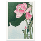 Estampe japonaise Fleurs de lotus — Ohara Koson, tirage sans cadre | INKONAL