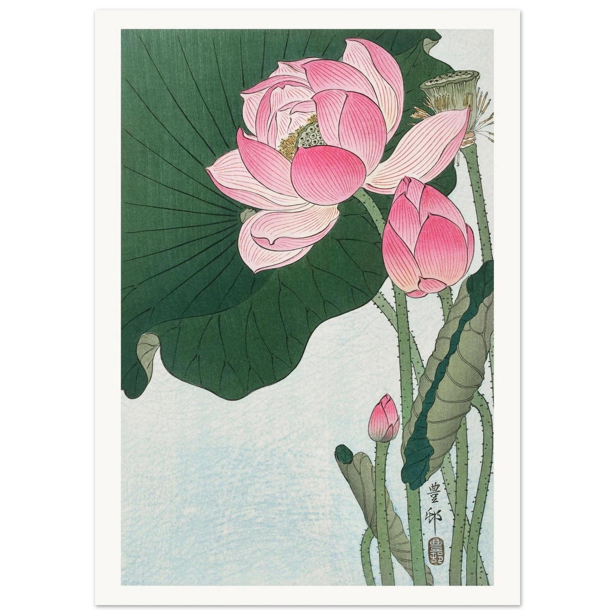 Estampe japonaise Fleurs de lotus — Ohara Koson, tirage sans cadre | INKONAL