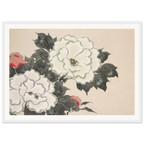 Estampe japonaise FUKAMIGUSA, Pivoines — Kamisaka Sekka, tirage encadré cadre blanc | INKONAL