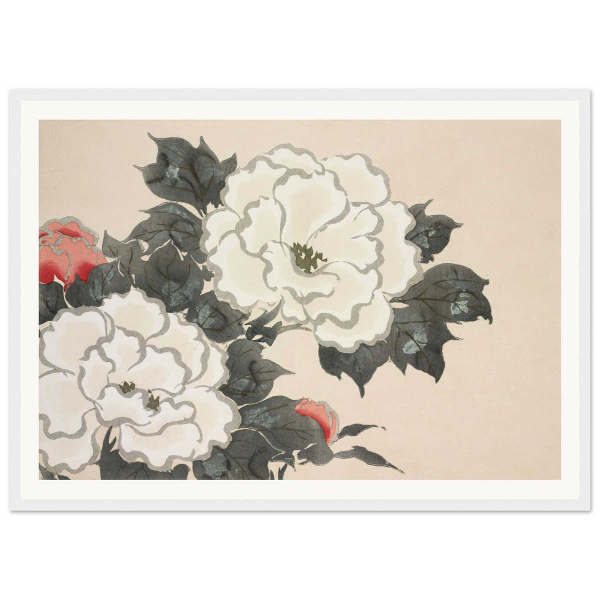 Estampe japonaise FUKAMIGUSA, Pivoines — Kamisaka Sekka, tirage encadré cadre blanc | INKONAL