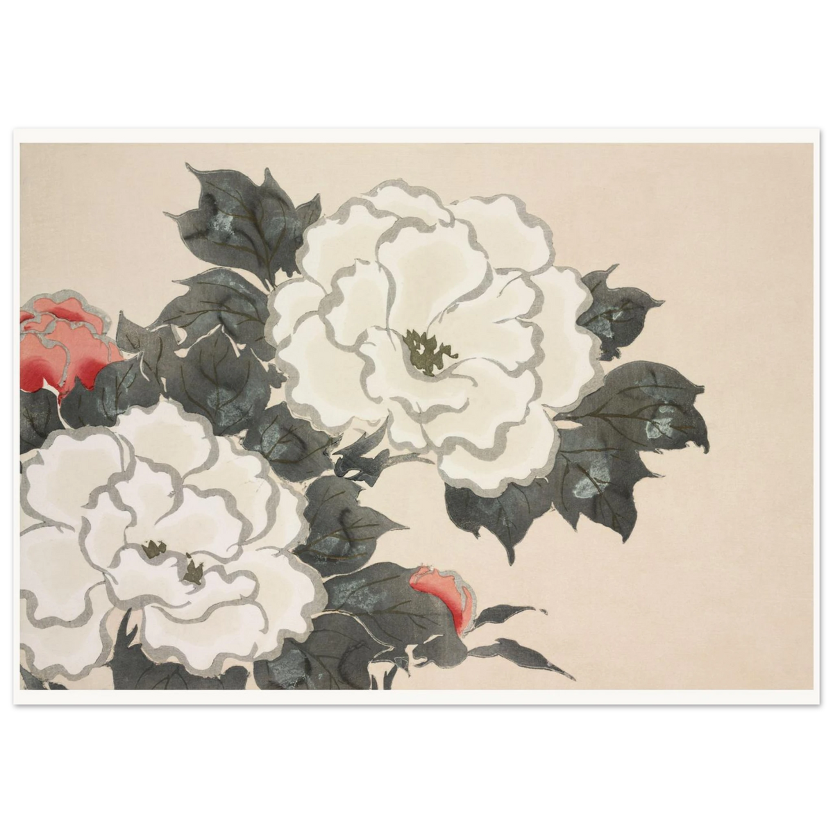 Estampe japonaise FUKAMIGUSA, Pivoines — Kamisaka Sekka, tirage sans cadre | INKONAL