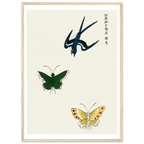Estampe japonaise Hirondelle et papillons — Taguchi Tomoki, tirage cadre bois | INKONAL