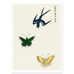 Estampe japonaise Hirondelle et papillons — Taguchi Tomoki, tirage sans cadre | INKONAL