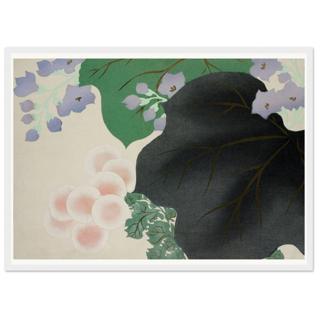 Estampe japonaise KIKUKIRI, Chrysanthème et paulownia — Kamisaka Sekka, tirage encadré cadre blanc | INKONAL