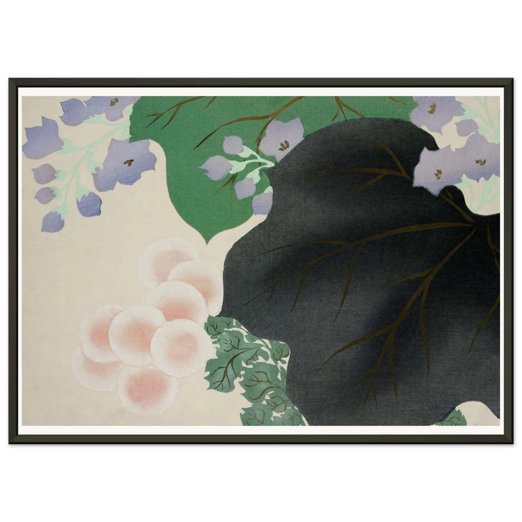 Estampe japonaise KIKUKIRI, Chrysanthème et paulownia — Kamisaka Sekka, tirage encadré cadre noir | INKONAL