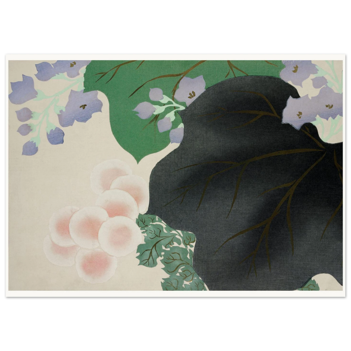Estampe japonaise KIKUKIRI, Chrysanthème et paulownia — Kamisaka Sekka, tirage sans cadre | INKONAL