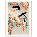 Estampe japonaise Nandina et oiseaux bleus sous la neige — Ohara Koson, tirage encadré cadre bois | INKONAL