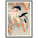 Estampe japonaise Nandina et oiseaux bleus sous la neige — Ohara Koson, tirage encadré cadre noir | INKONAL