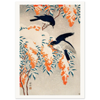 Estampe japonaise Nandina et oiseaux bleus sous la neige — Ohara Koson, tirage sans cadre | INKONAL