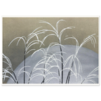 Estampe japonaise OBANA NI TSUKI, Herbes à éventail sous la lune — Kamisaka Sekka, tirage sans cadre | INKONAL