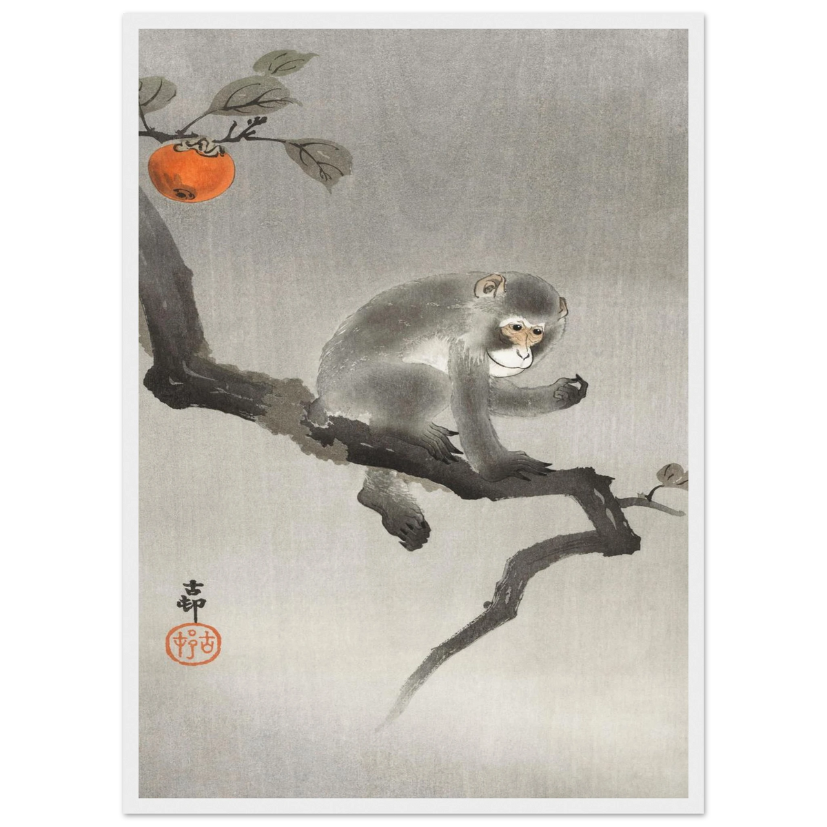 Estampe japonaise Singe et kaki — Ohara Koson, tirage encadré cadre blanc | INKONAL