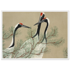 Estampe japonaise Tsuru, Grues — Kamisaka Sekka, tirage encadré cadre blanc | INKONAL